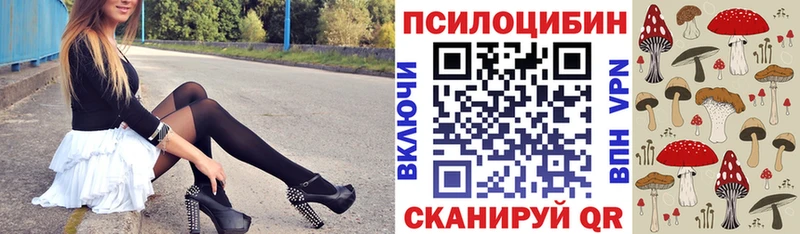 Купить закладки  Гулькевичи  Псилоцибиновые грибы Psilocybine cubensis 